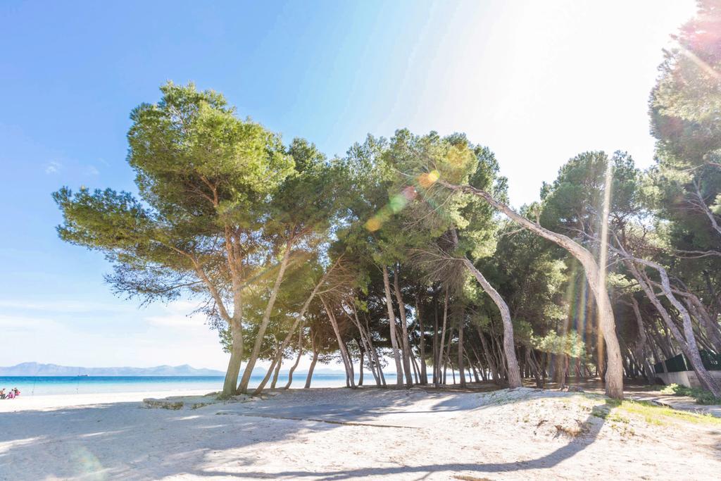 Vakantiehuis Pinya Port de Alcudia (Mallorca)